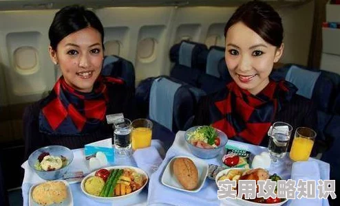 蓝天航班空公司全文免费据传空姐爆料飞机餐难吃导致乘客投诉不断