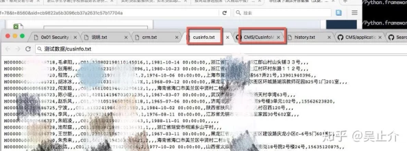 精品秘入口麻豆果冻传煤平台服务器遭攻击数据泄露用户隐私堪忧
