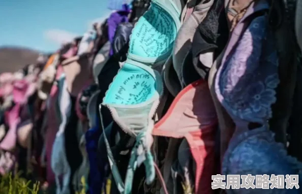 为何备受瞩目扒开美女内衣 看个够可能是因为它挑战了传统观念
