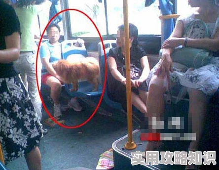 公交车拨开老师内裤为什么挑战轮理道德底线为何备受争议